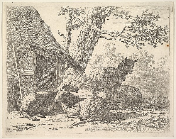 Karel Dujardin, Four sheep, one sheep stands among three others lying on the ground next to a shed with thatched roof and open door