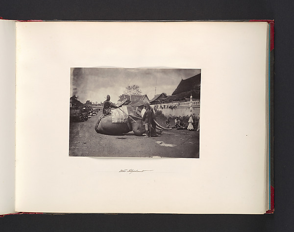 John Thomson, Wat Elephant