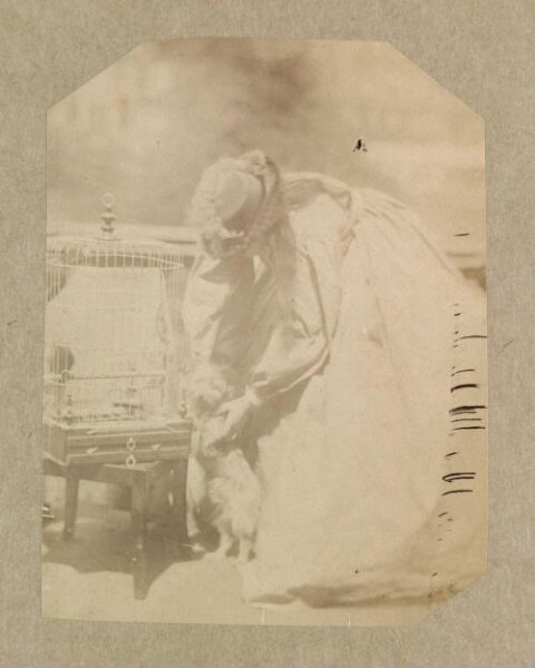 Clementina, Lady Hawarden, Photograph
