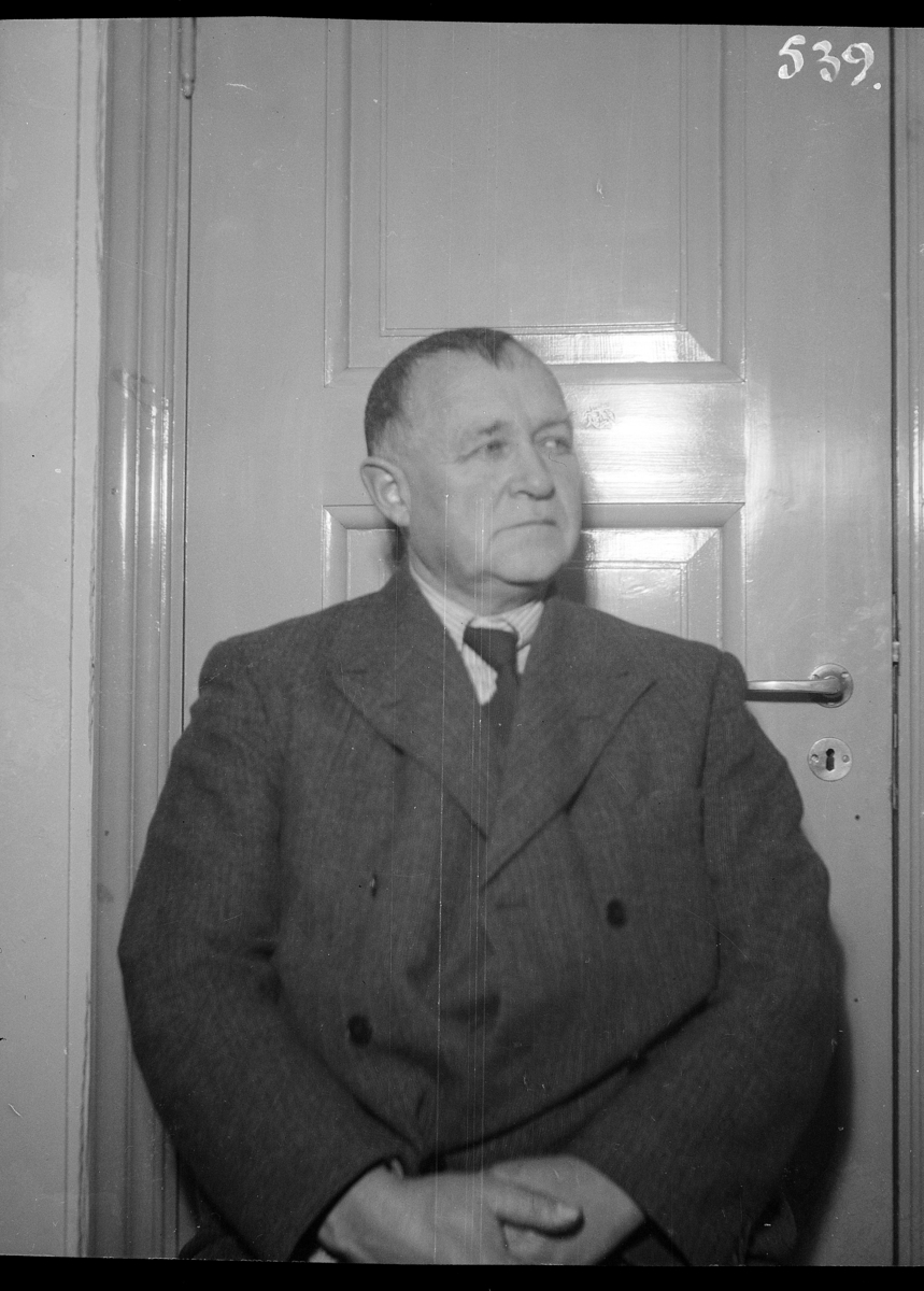 Karl Andreas Diesen, Dyrlege Murstad