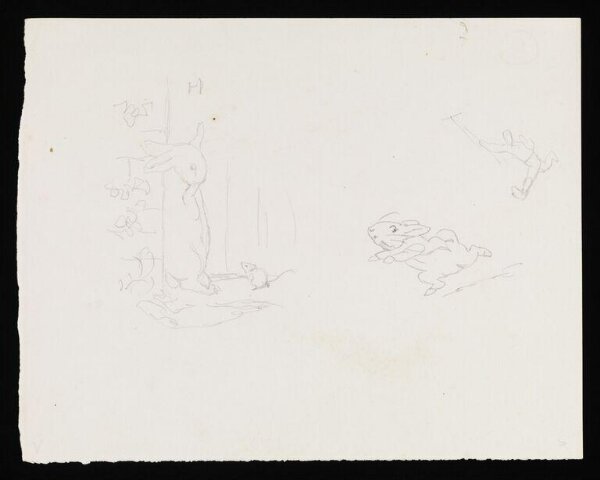 Potter, Beatrix, drawing