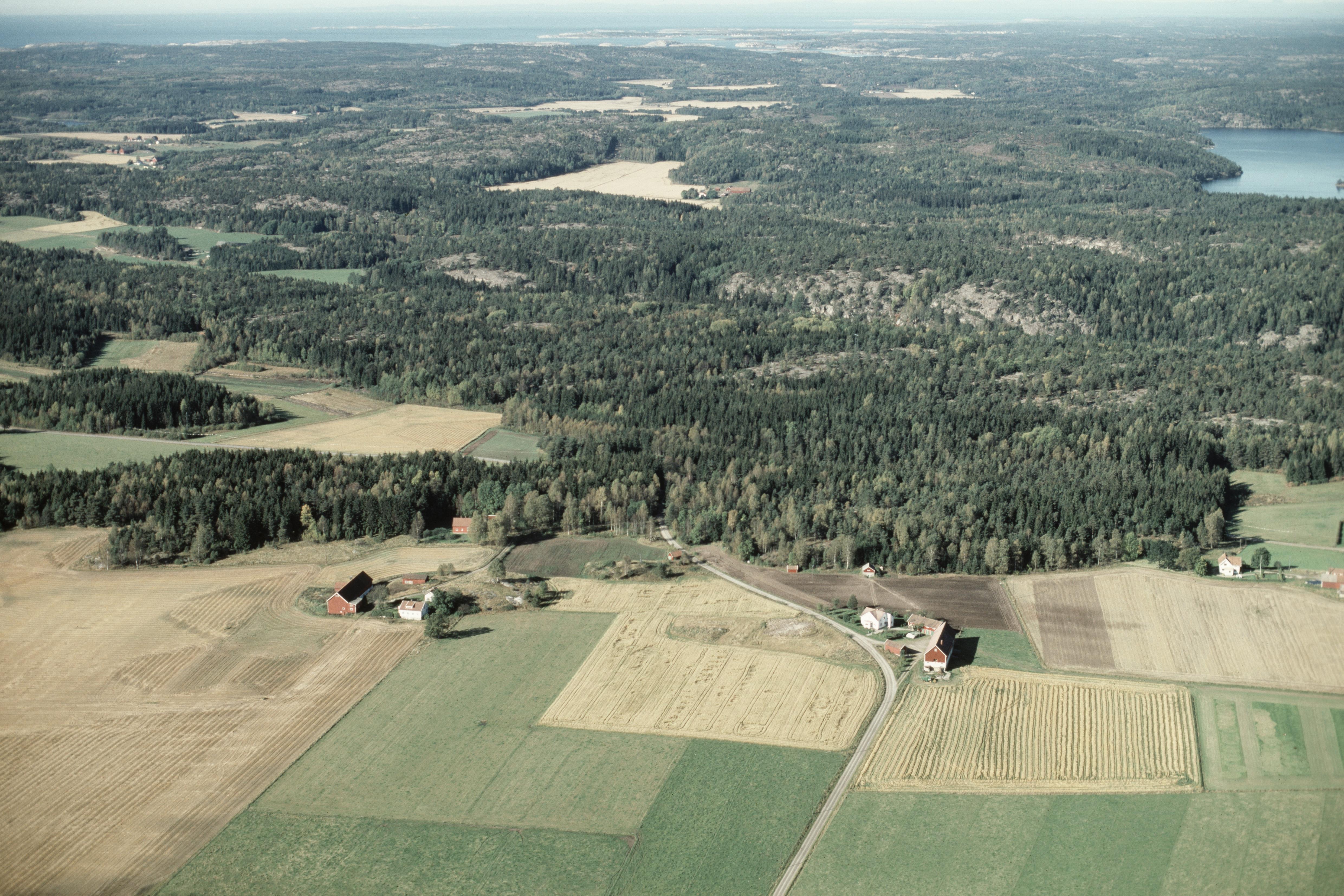 Jan Norrman, Skee 614:1
