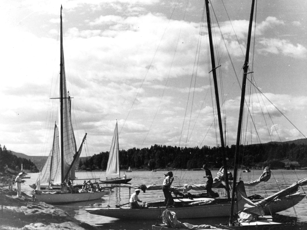 Anders Beer Wilse, Seilsport