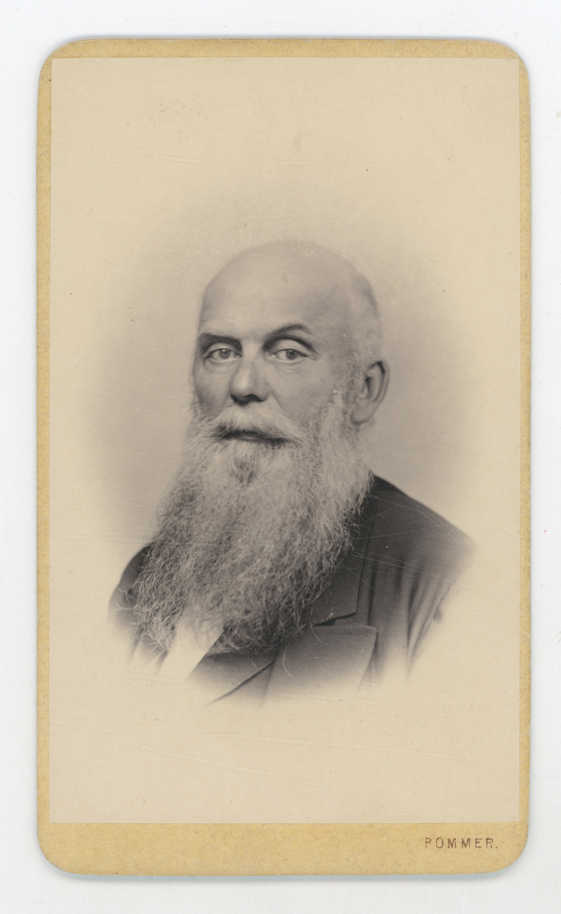 Franjo Pommer, Portret bradatog muškarca