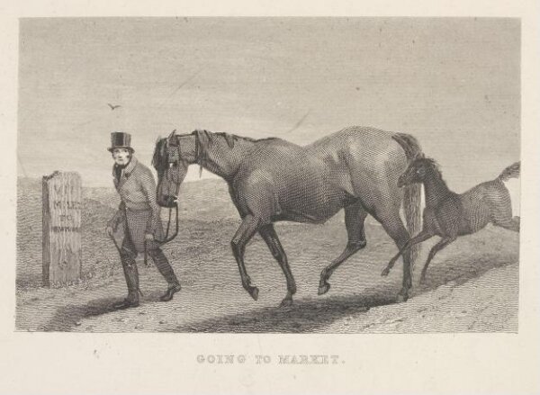 Unknown, Going To Market