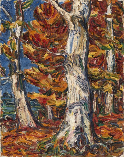 Christian Rohlfs, White Beeches in Fall