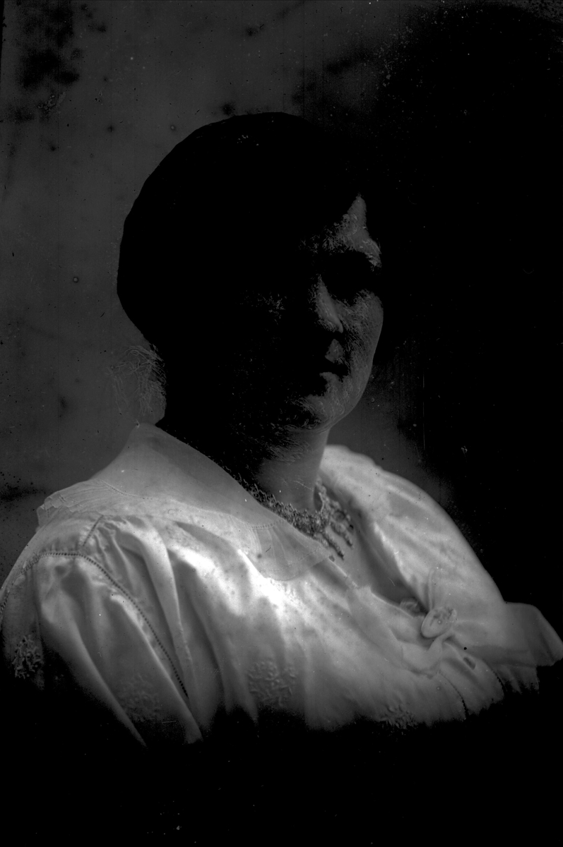 Gustav Borgen, NFB.08654