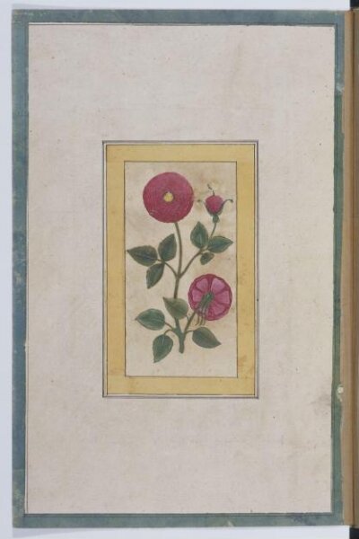 Unknown, Painting