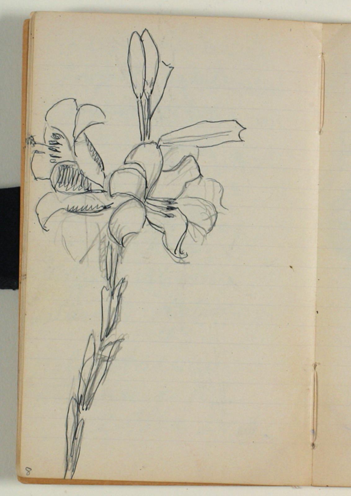 Niels Larsen Stevns, Blomsterstudier