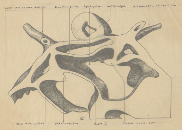 J Tinkelenberg, Embryonic heart