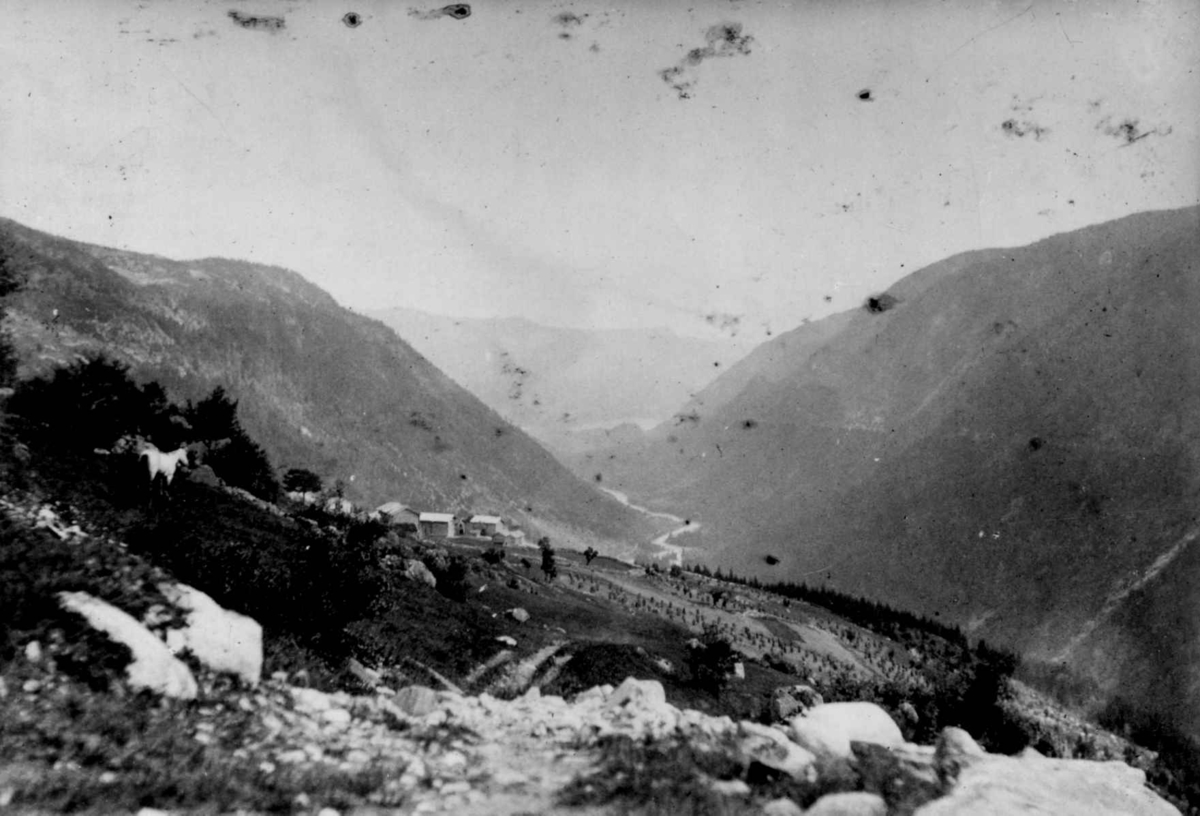 Ukjent, Fra en serie fotografier fra et album som har tilhørt folklorist og professor Moltke Moe (1859-1913), antatt fra 1880-årene med motiver fra Telemark.