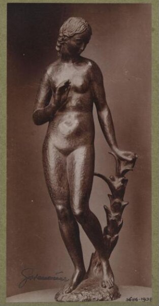 unknown, Photograph