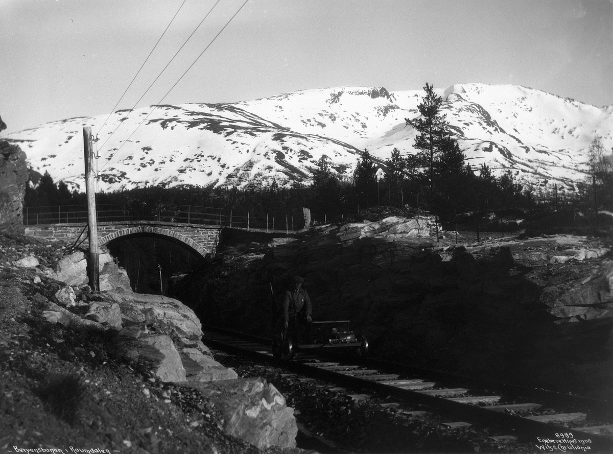 Anders Beer Wilse, Prot: Dalen ved Reime 1908