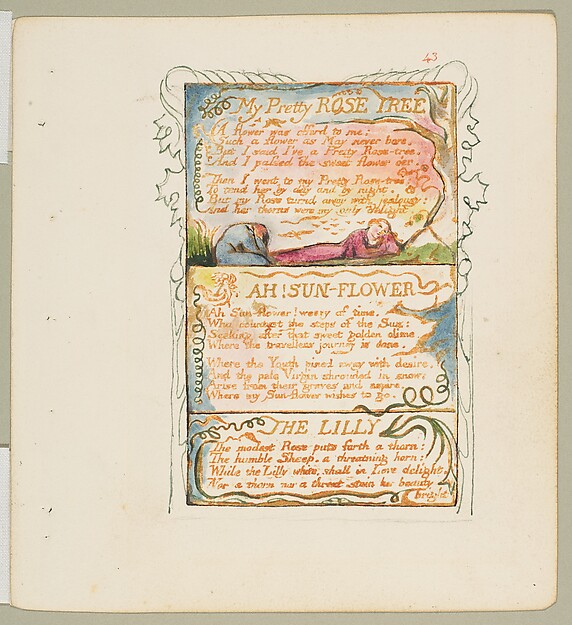 William Blake, Songs of Experience: My Pretty Rose Tree, Ah! Sun-Flower, The Lilly