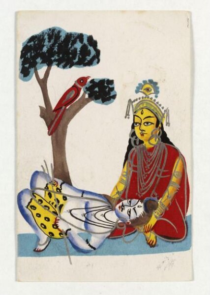 Unknown, Shiva