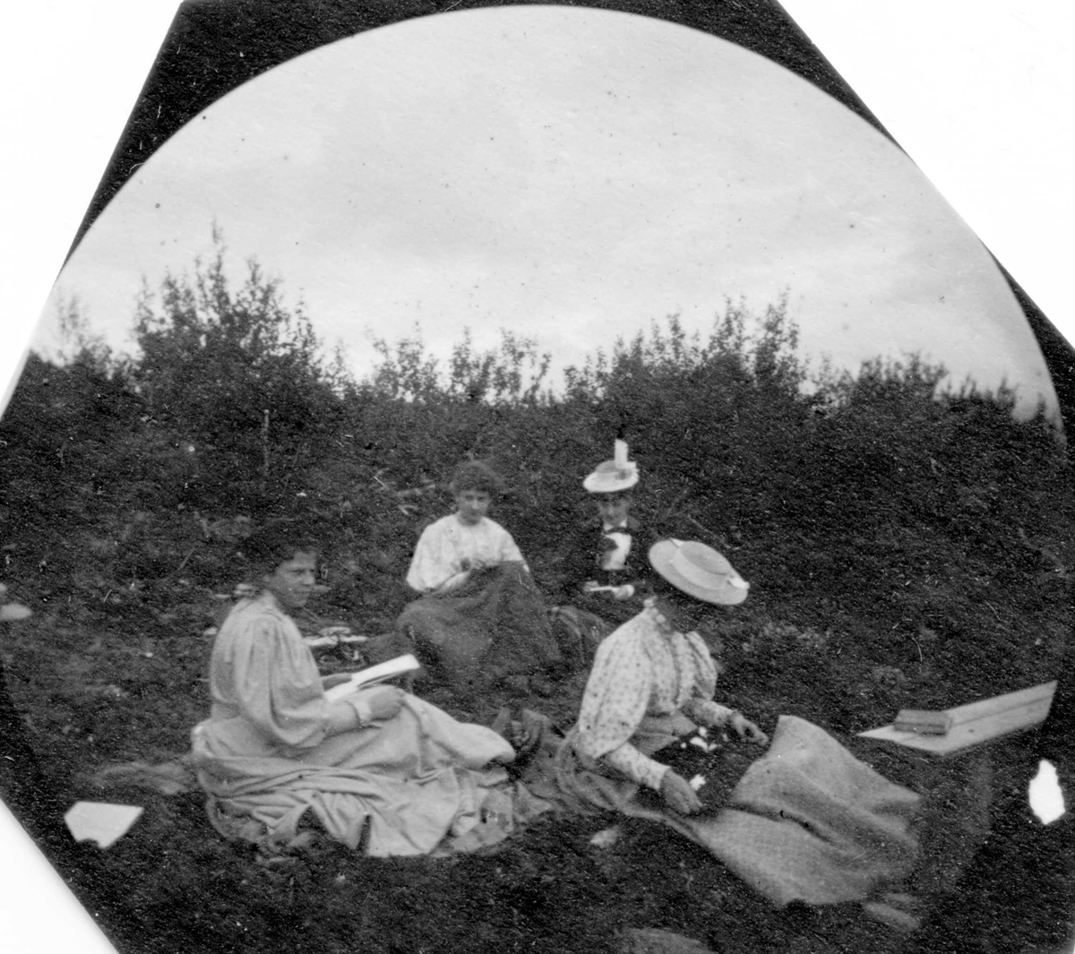 Fredrik Carl Mülertz Størmer, Fire damer sitter på bakken i skogen med tegnesaker.