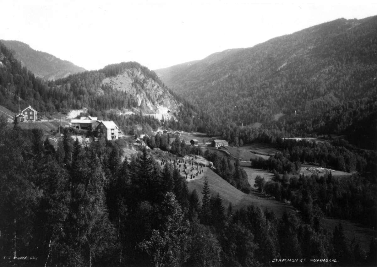 Hermann Christian Neupert, Gvammen stasjon i Buskerud i 1930. Oversiktsbilde. Bratt skogkledd landskap. Jernbanestasjonen til høyre. Gårder. Åker med kornstaur. Det opprinnelige navnet var "Hvammen" - Norsk Jernbanstasjon nr. 1716, antakelig.