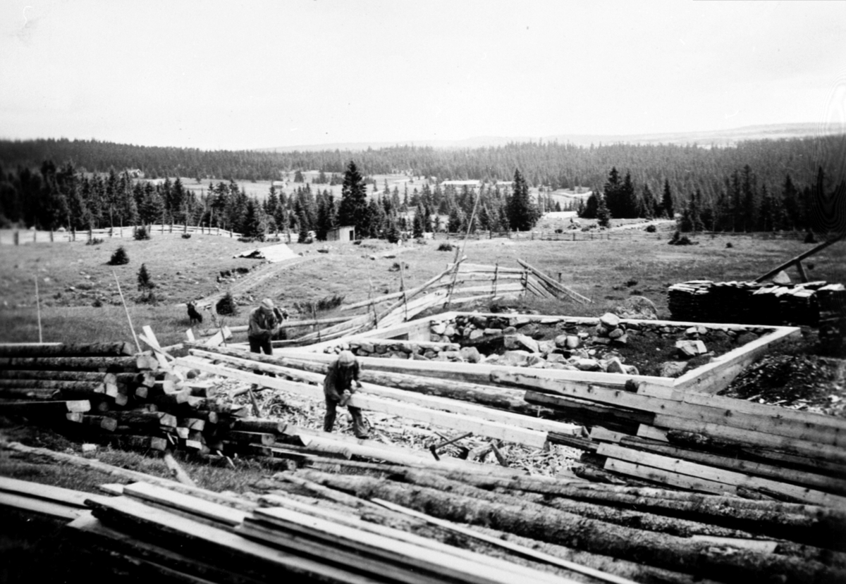 Anno Domkirkeodden, Oppsetting av størhus på Leine østre sin seter på Moste i Ringsakerfjellet. Fra venstre er Kristian Haugersveen, Even Haugersveen klargjør stokk for lafting.