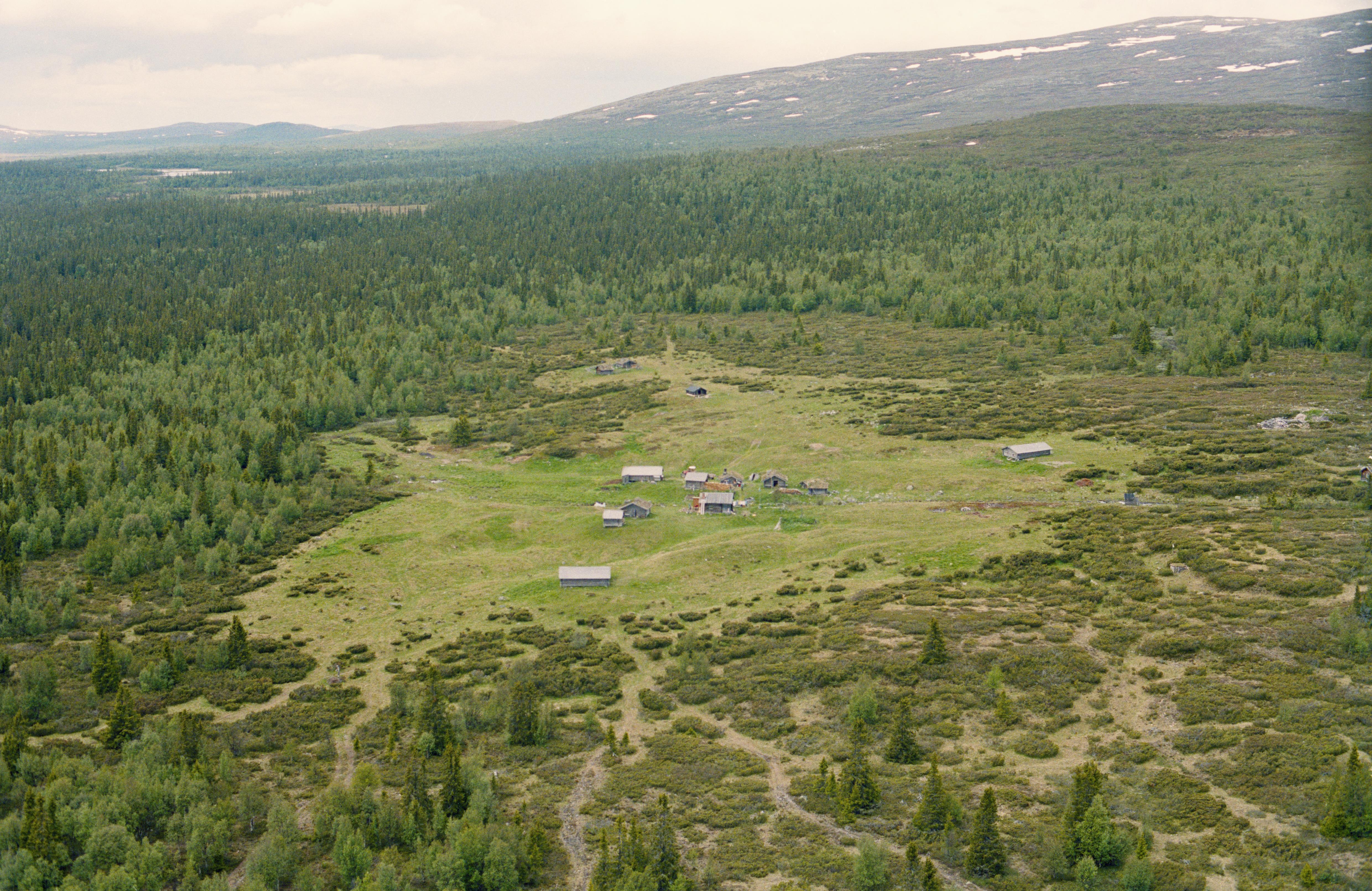 Jan Norrman, Öster-Arådalen