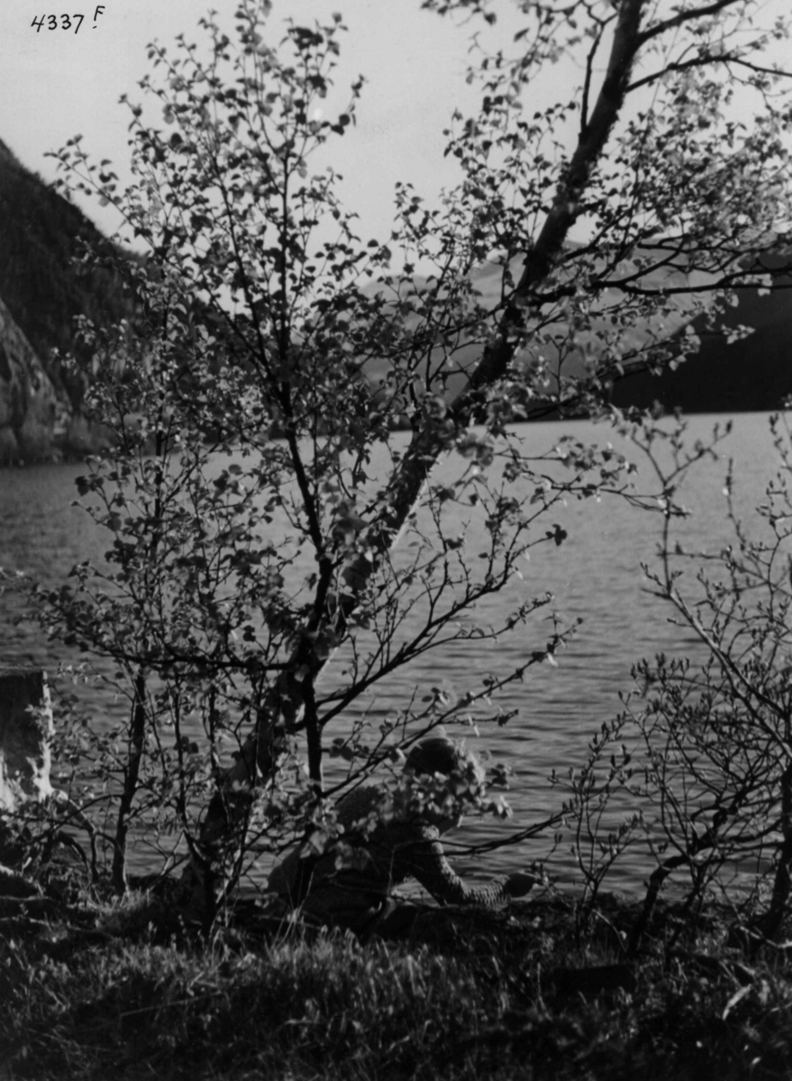 Anders Beer Wilse, Landskap Vangsmjosi Valdres