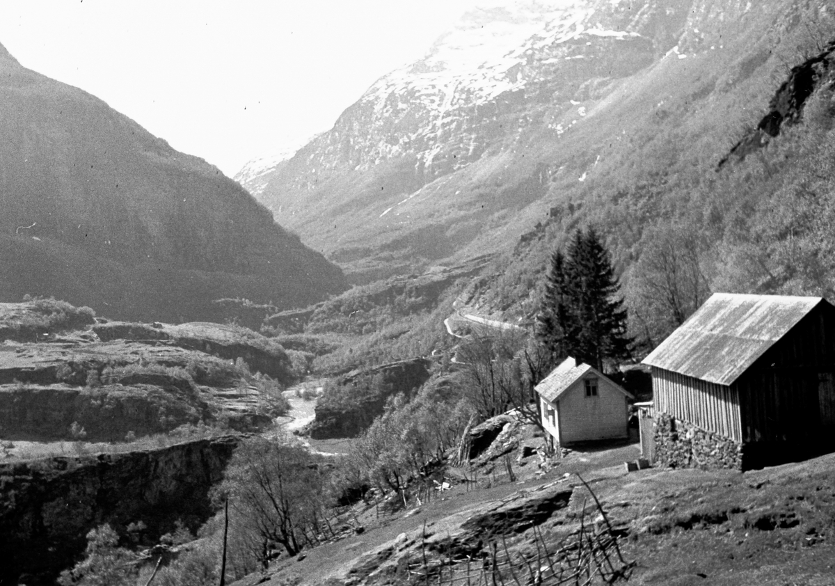 Anders Beer Wilse, Prot: Flåmsdalen fra Geithus fjellgård