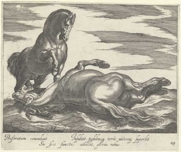 Panderen, Egbert van, (1581-1637?), (printmaker), Horse breeds: Landscape with two horses, one lying on the ground