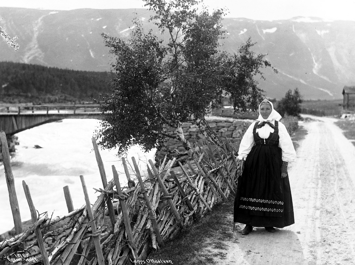 Anders Beer Wilse, Prot: Ottaelven ved Skiaker 22/7 1910