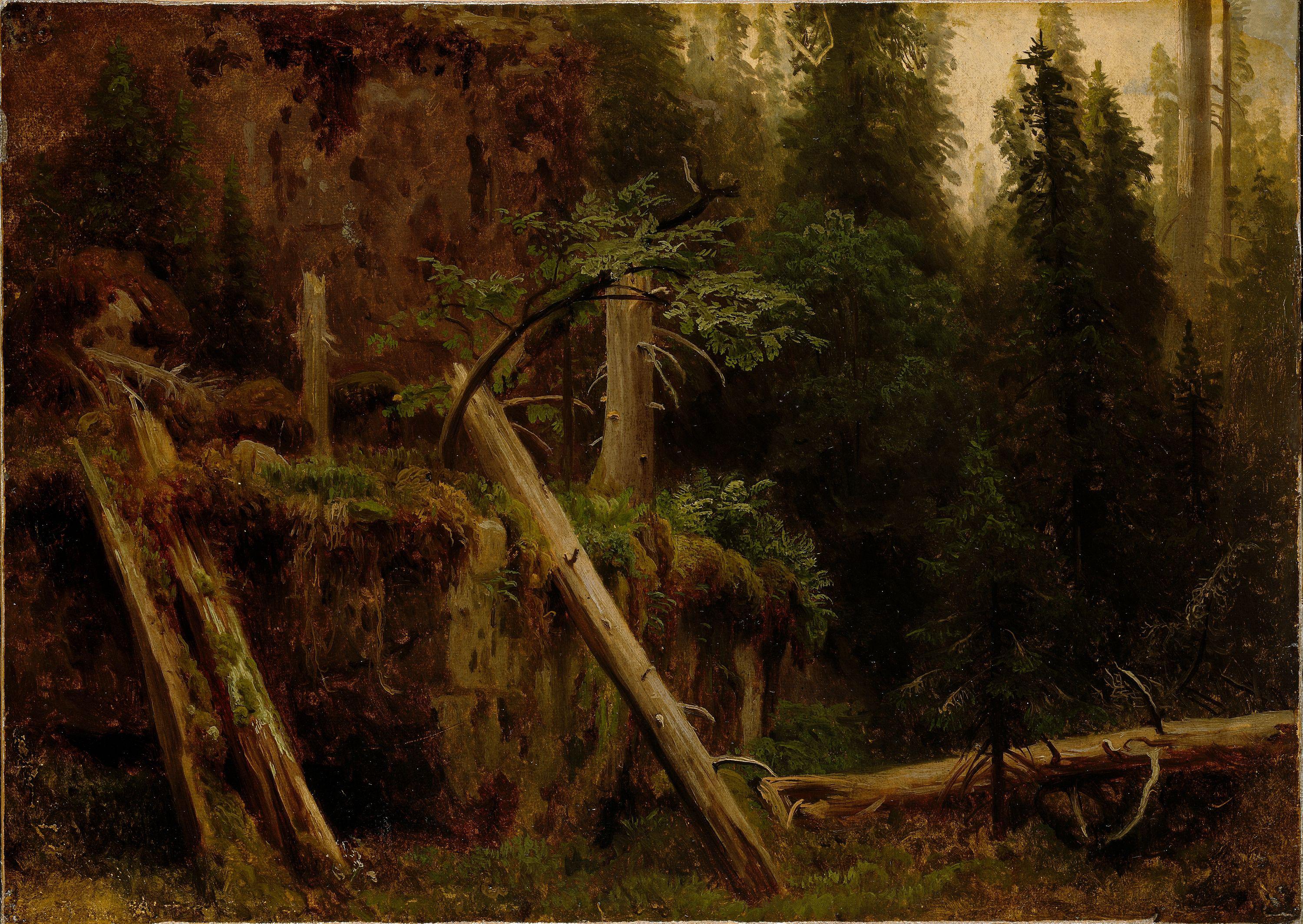 August Cappelen, Landscape Study with decaying Trees