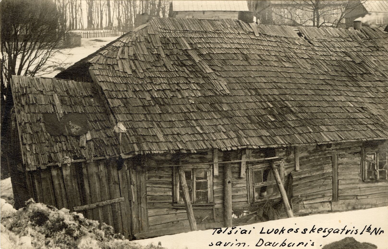 Nežinomas fotografas, Telšiai, Luokės skersgatvis Nr. 1b, savininkas Daubaris