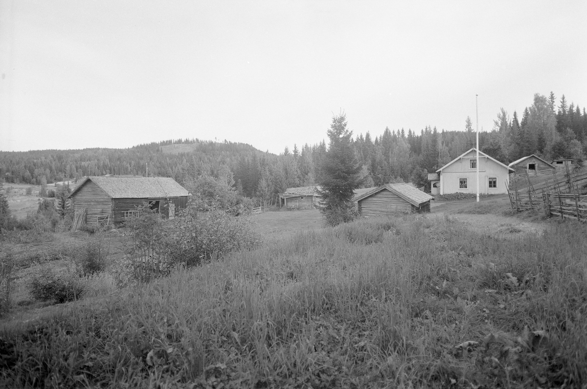 Anno Domkirkeodden, EKSTR: GARDSTUN, LUNDBY M/LUNDBY VESTRE, LØTEN. Se Løtenbok nr. 3 fra 1955 side 795