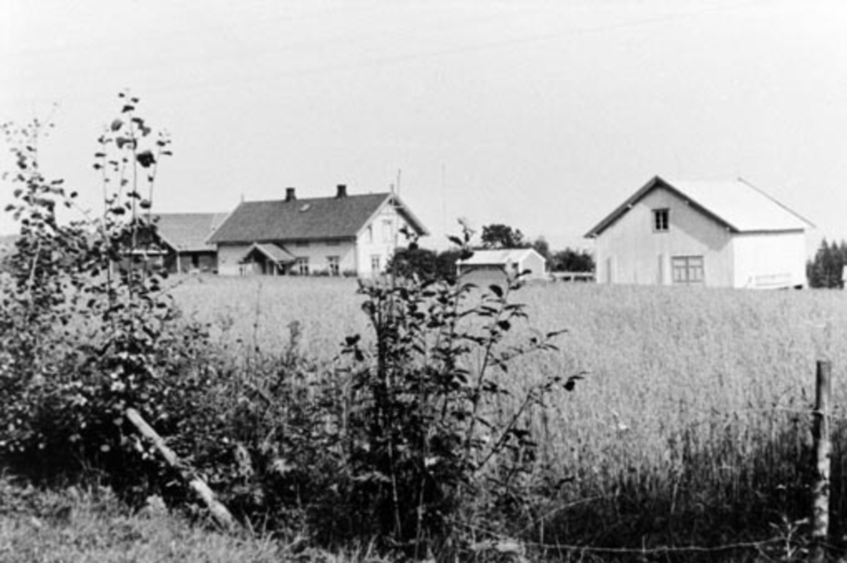 Anno Domkirkeodden, Eksteriør Freberg landhandleri, Nes, Hedmark.