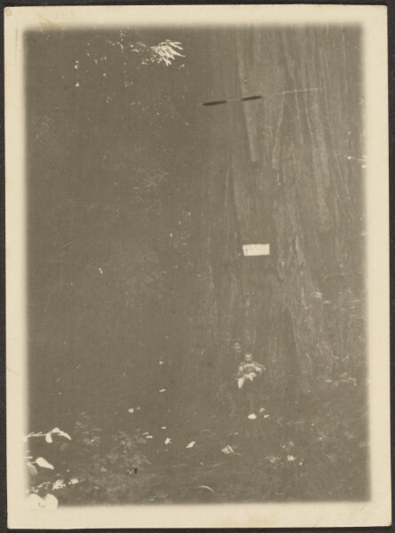 Louis Fleckenstein, [Figure under Large Tree]