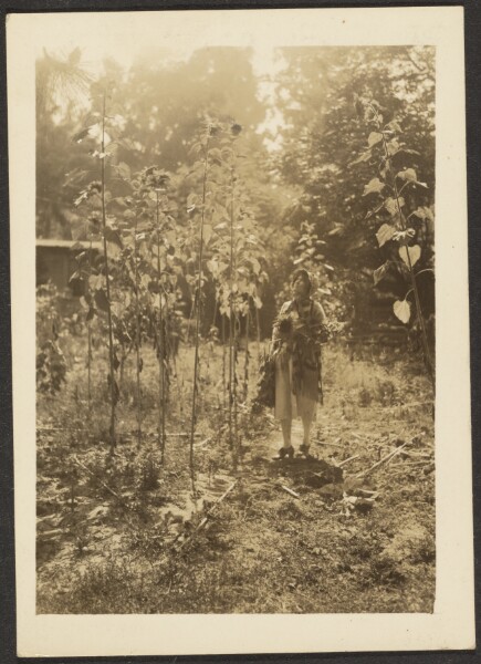 Louis Fleckenstein, [Florence and Sunflowers]