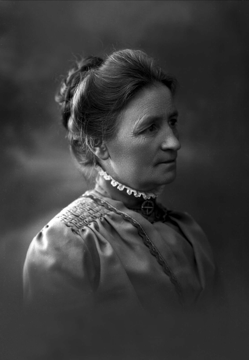 Gustav Borgen, NFB.08802