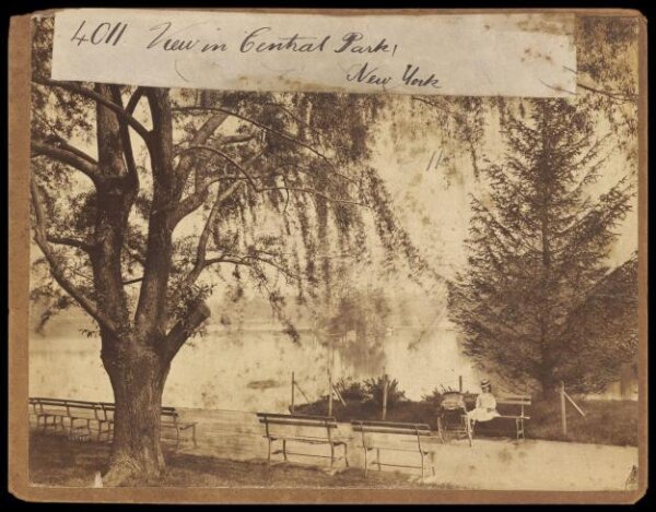Francis Frith, View in Central Park.  New York