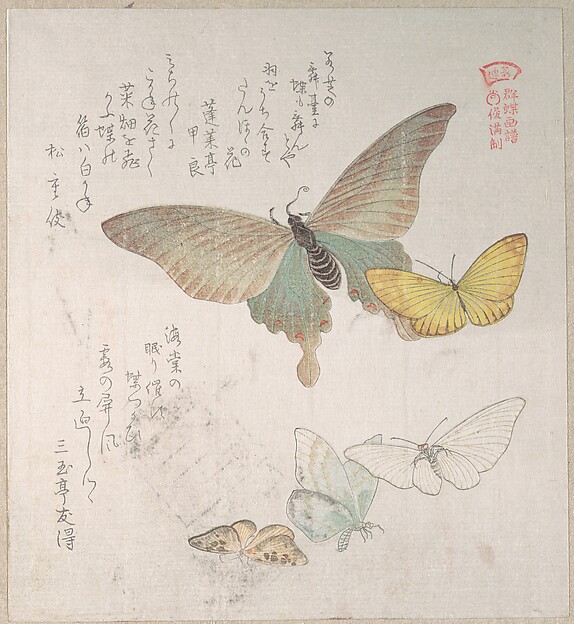 Kubo Shunman, Various Moths and Butterflies