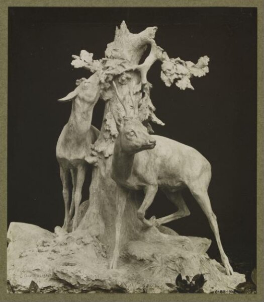 unknown, Photograph