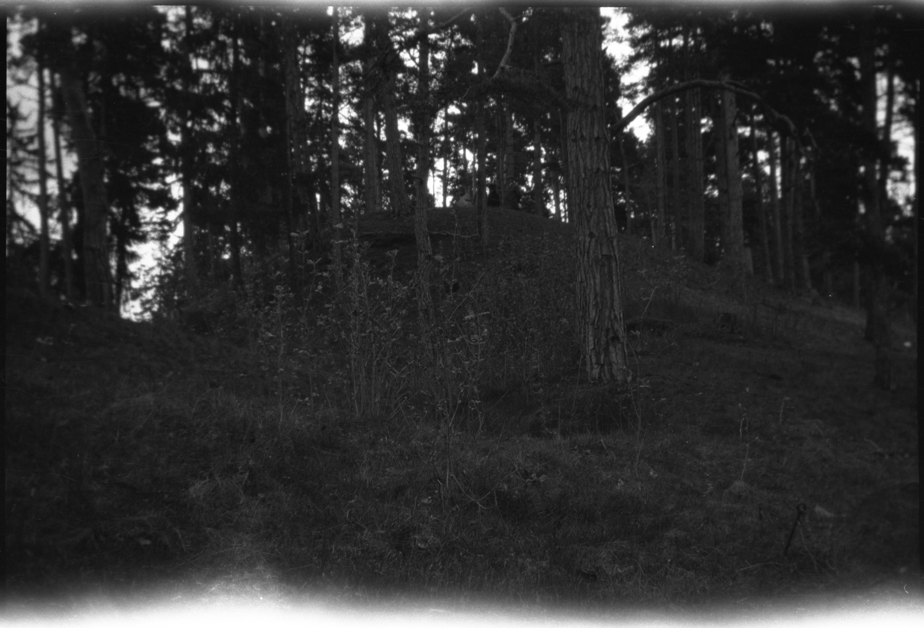 Berit Wallenberg, Husby