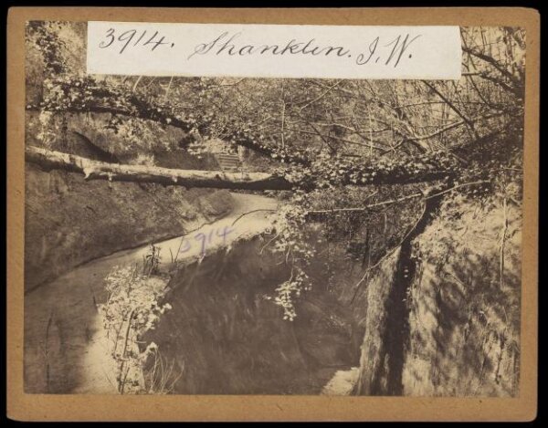 Francis Frith, Photograph