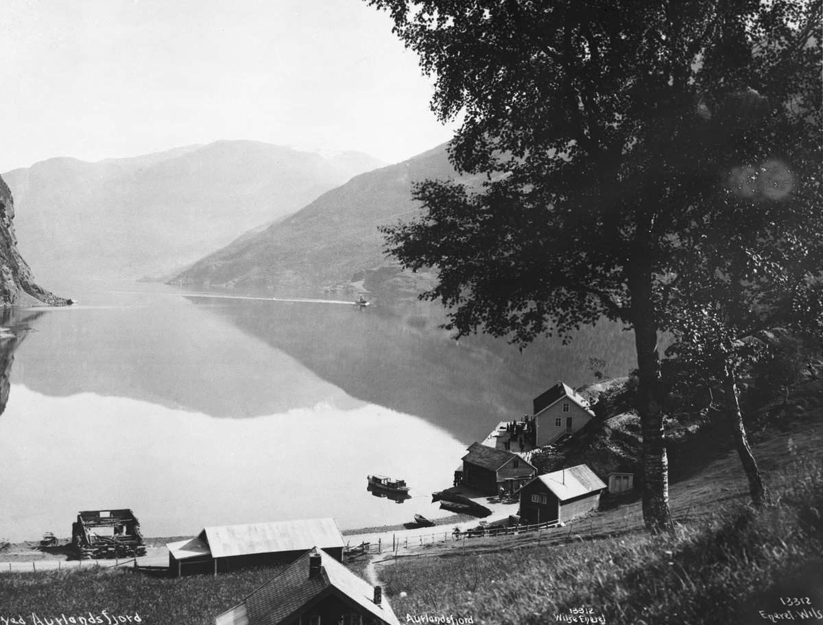 Anders Beer Wilse, Prot: Auerlandsfjord Flaam