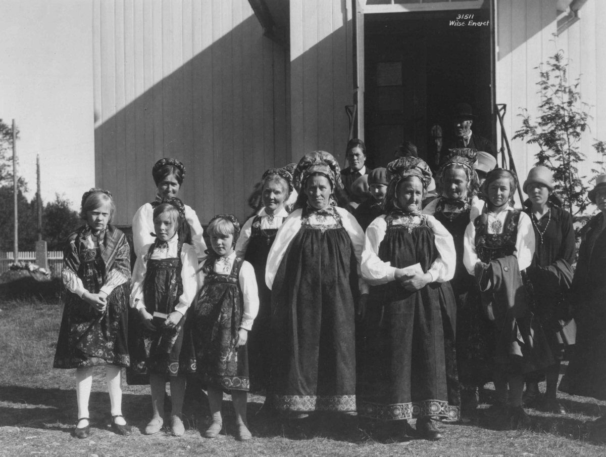 Anders Beer Wilse, Hallingdrakter, Buskerud
