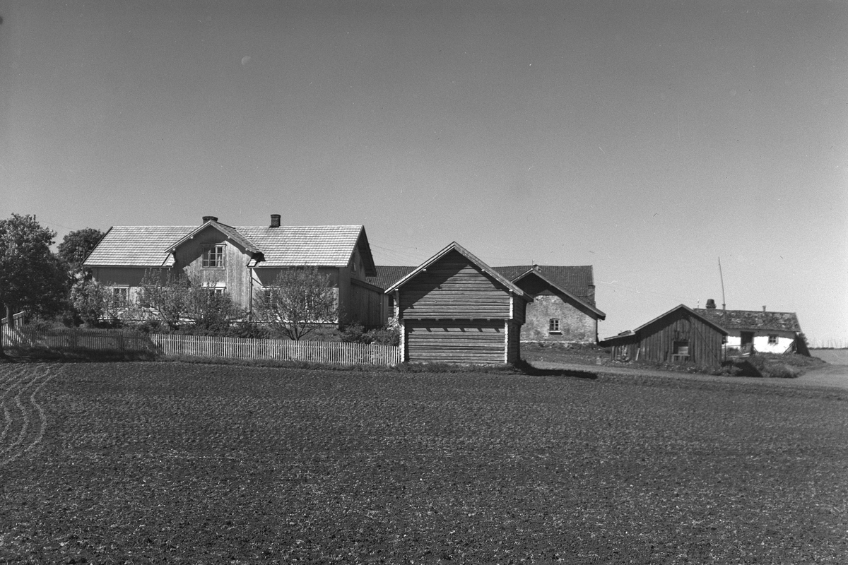 Anno Domkirkeodden, EKSTR: GARDSTUN, HOVS-ØDEGÅRDEN. Se Løtenboka, Bygdebok fra 1953 bind 2. side 587