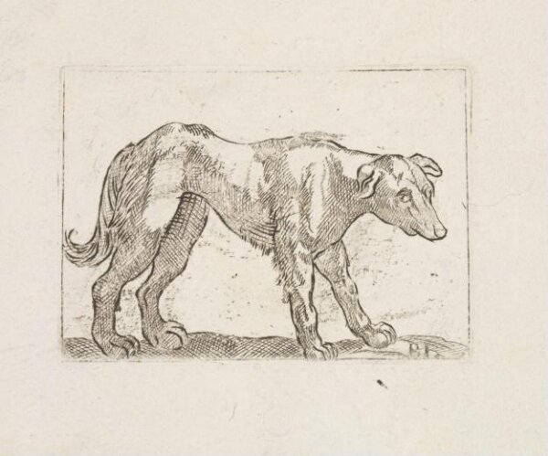 Unknown, Print
