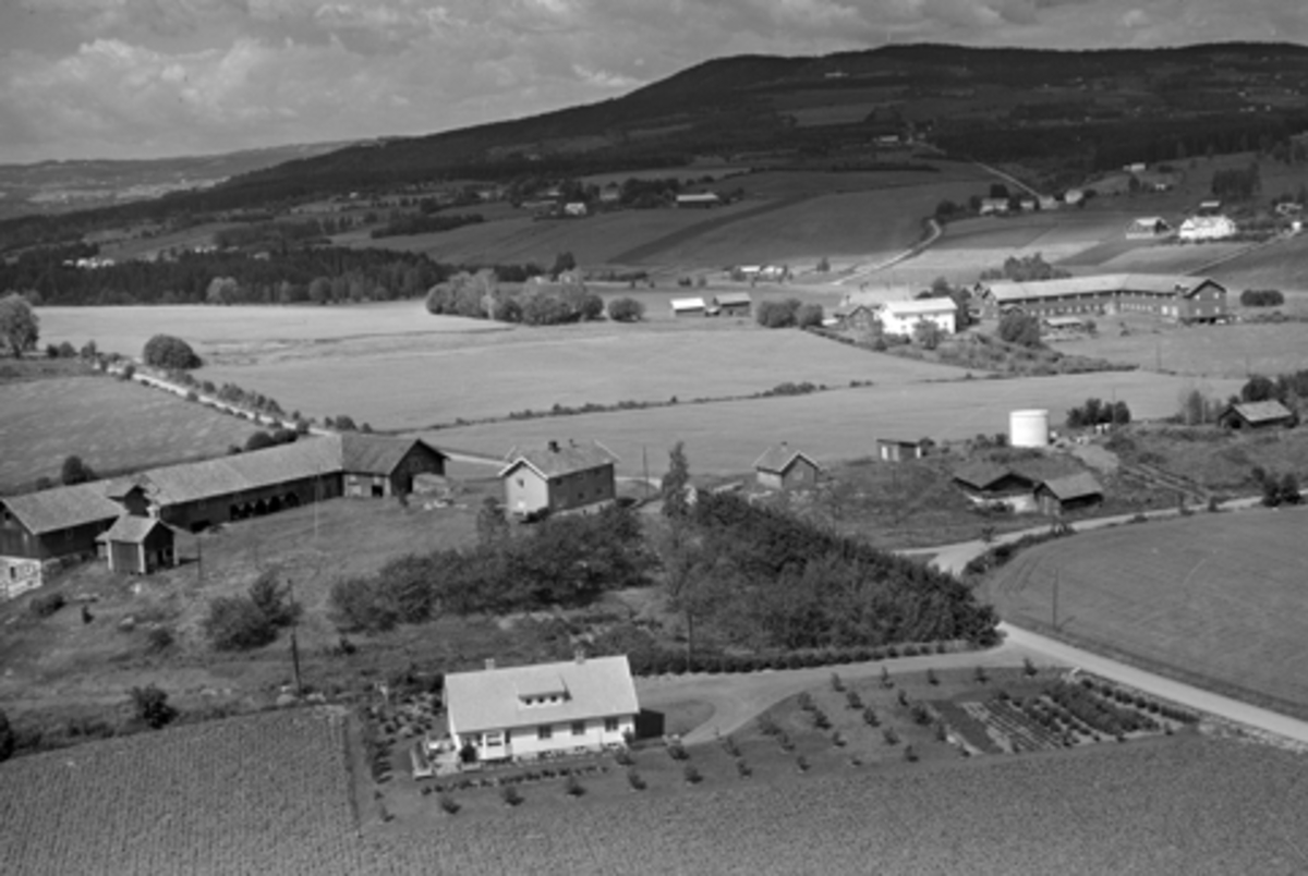 Anno Domkirkeodden, Flyfoto av Bjørke og Dæhli gard, Furnes, Ringsaker.