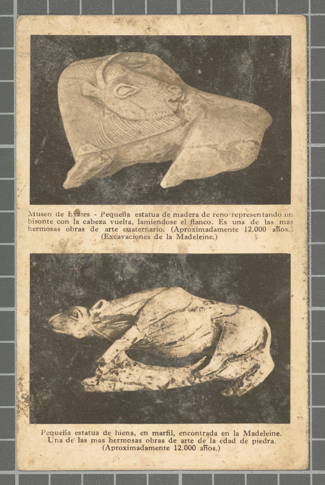 Desconegut, Museo de Eyzies - Pequeña estatua de madera de reno representando un bisonte con la cabeza vuelta, lamiendose el flanco