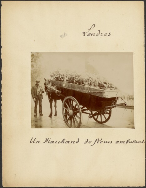 Unknown, [Flower merchant]