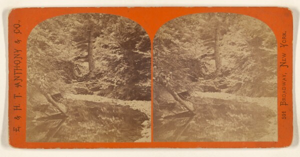 Edward and Henry T. Anthony & Co., Trout Pool - Wurtsboro'. [New York and Oswego Midland Rail Road]