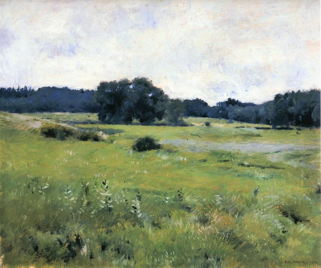 Dennis Miller Bunker, Meadow Lands