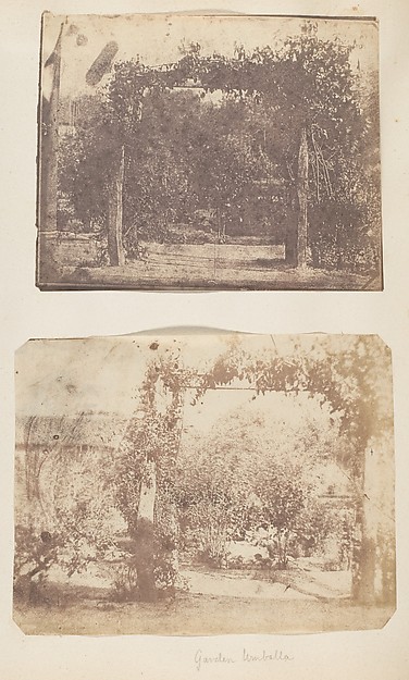Unknown, [Garden at Umballa]