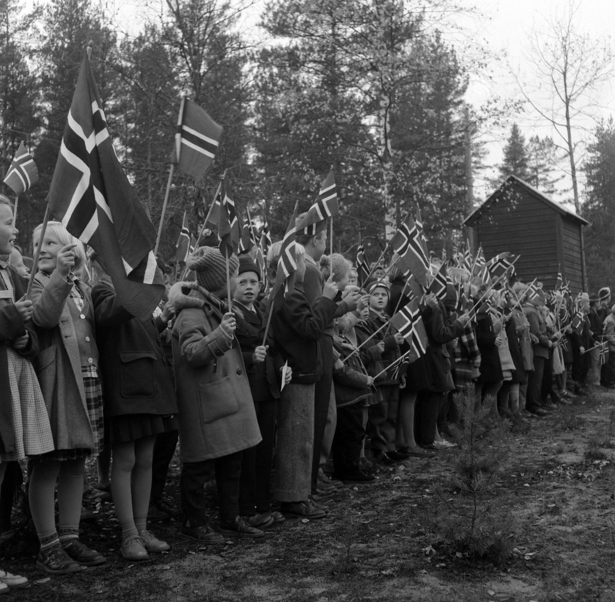 Adolf Skjegstad, ASK-04615
